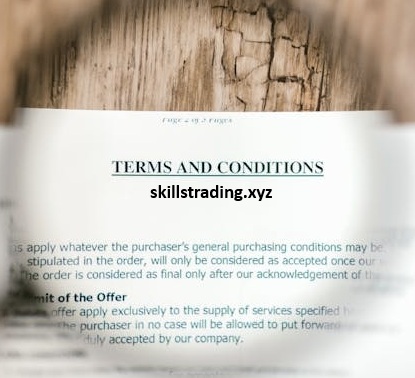 skillstrading.xyz/ Terms, Conditions and Disclaimer
